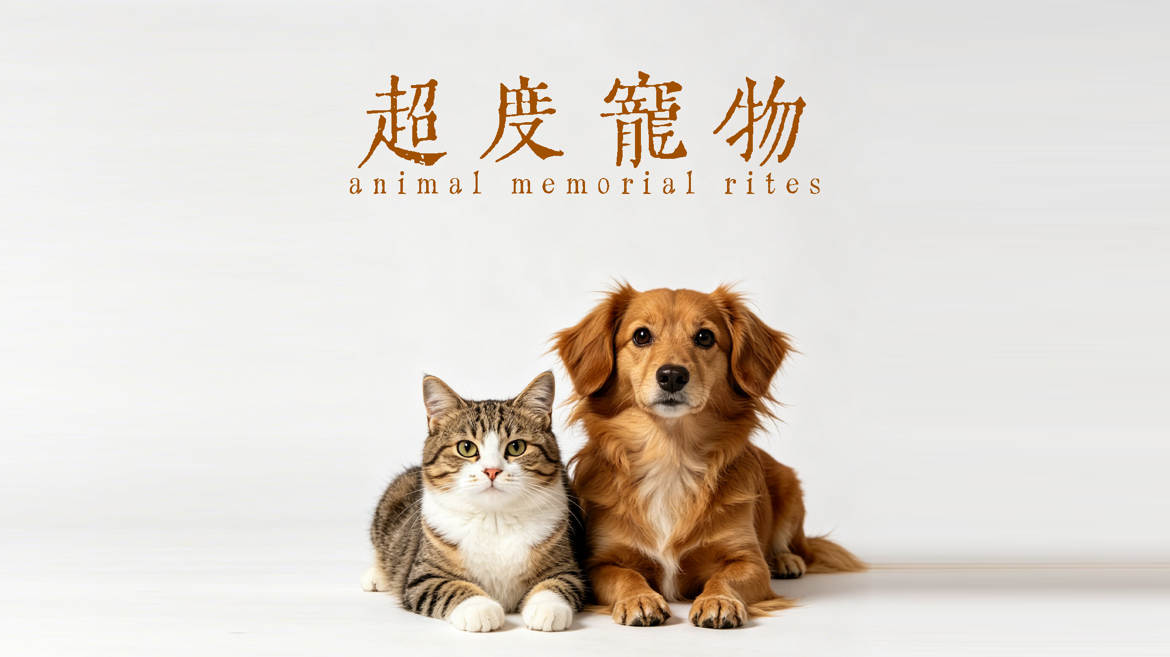 超度宠物•离苦得乐